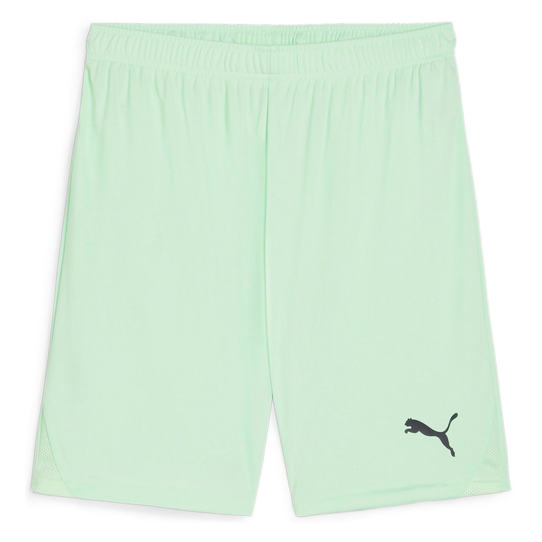 Шорты игровые Puma teamGOAL Shorts 70575260 купить в Москве, цены –  интернет-магазин Footballmania