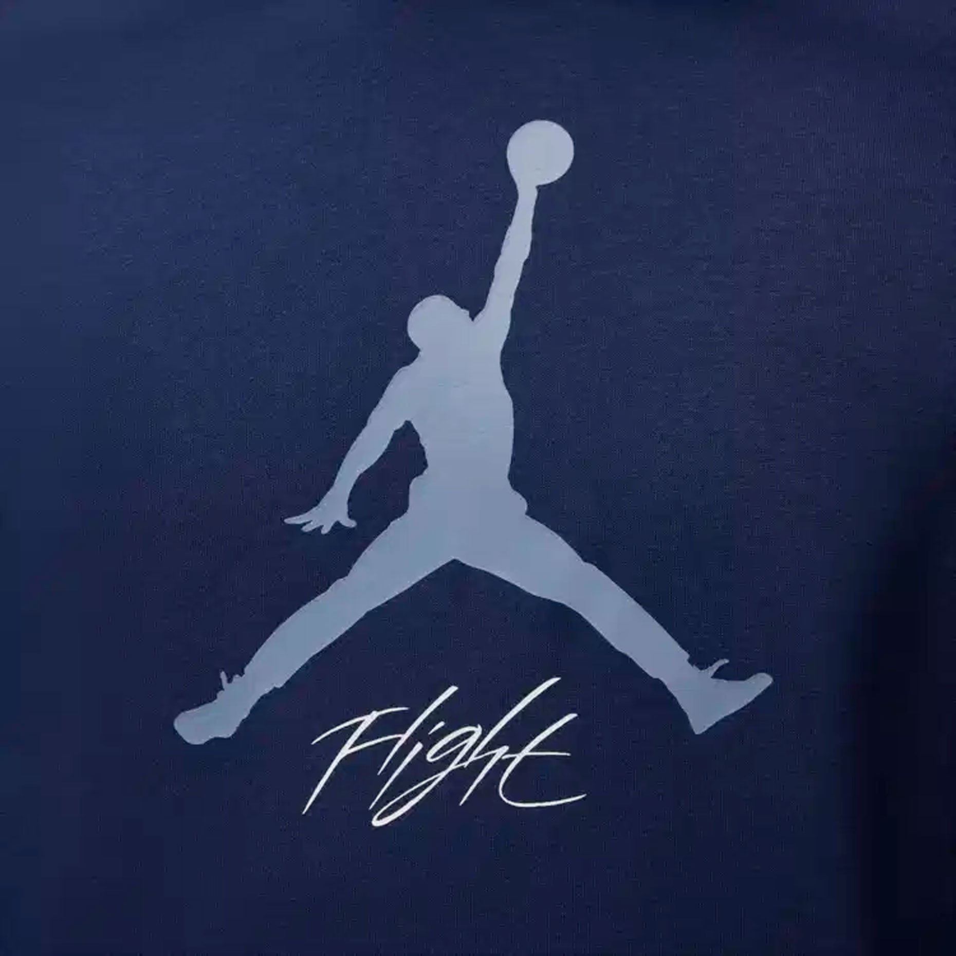 Jordan t shirt hoodie sale