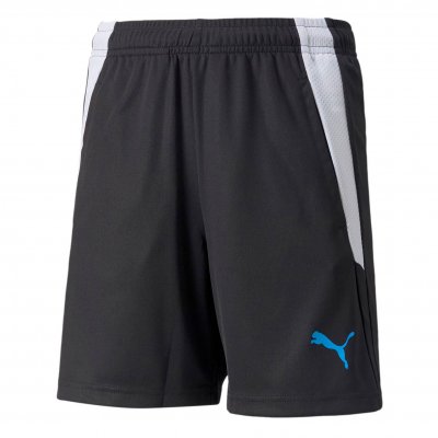 Шорты тренировочные детские Puma teamLIGA Training Shorts