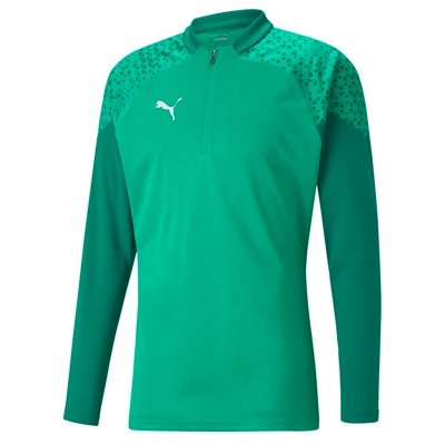 Джемпер тренировочный Puma teamCUP Training 1/4 Zip Top